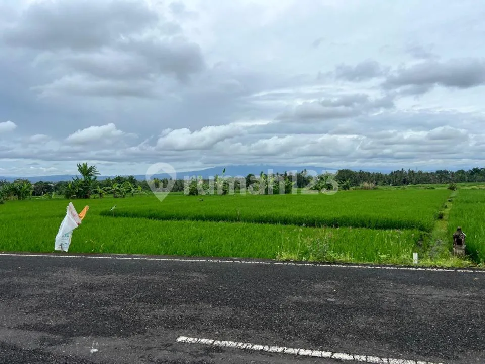 Tanah Dekat Beach Glamping Kedungu Shm 1130.0 MÂ² - Image 2 of 4
