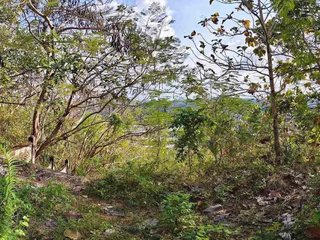 Tanah Unblocked Ocean View Di Labuan Sait Pecatu - Image 4 of 10