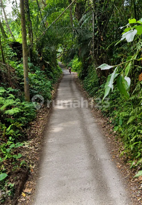 Dijual Villa Semi Joglo - Sebali Ubud Lokasi Strategis - Image 2 of 4