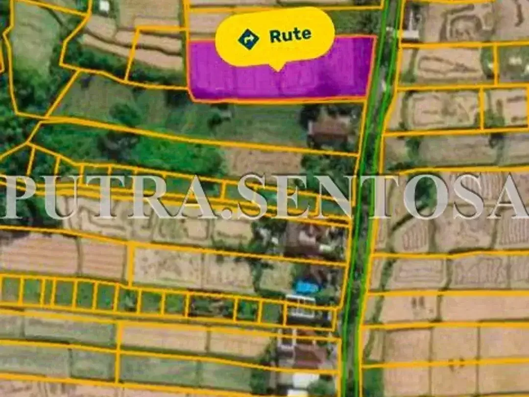 TANAH BYPASS IDA BAGUS MANTRA GIANYAR KLUNGKUNG - Image 9 of 9