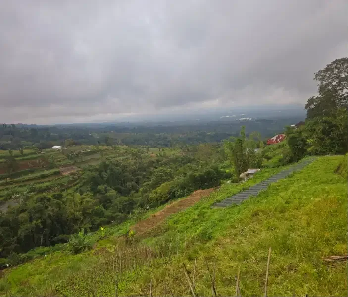 Land for lease at Bedugul Tabanan - Image 8 of 10