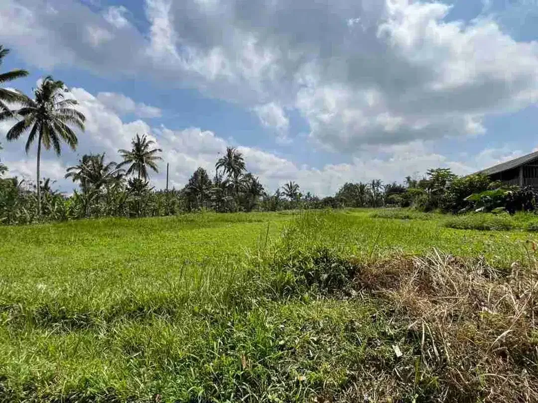 jual tanah flat datar di tabanan bali. - Image 7 of 10