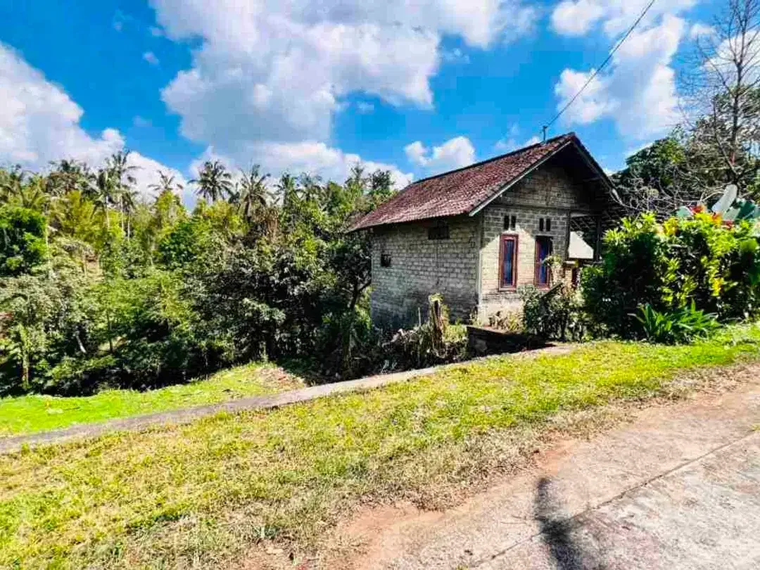 jual tanah dan rumah di desa wisata manikyang tabanan bali - Image 2 of 10