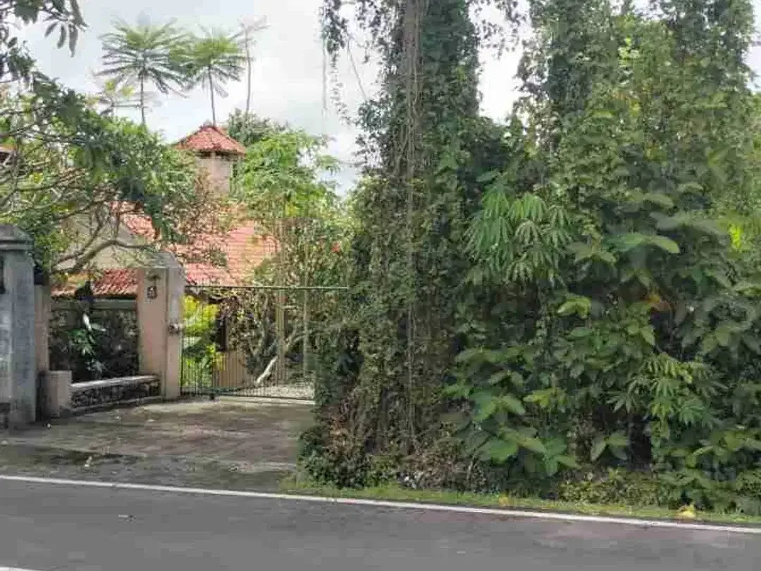 tanah bagus pinggir jalan cocok untuk usaha dan investasi - Image 2 of 5