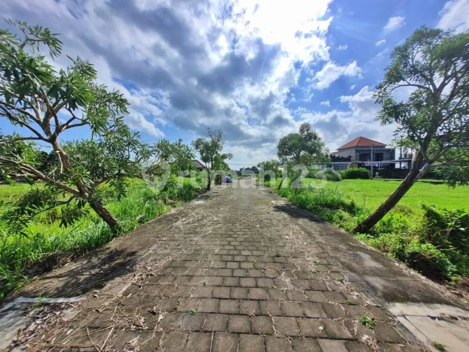 Tanah Bagus Cocok untuk Bangun Villa atau Investasi - Image 4 of 4