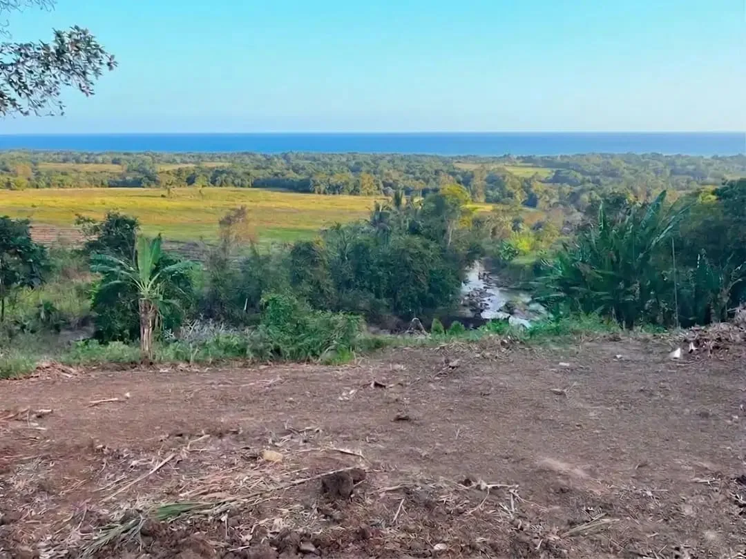 Tanah Kavling Villa View Sawah, Sungai & Laut, Harga Ekonomis di Kelating, Kerambitan, Tabanan dekat Pantai - Image 6 of 10
