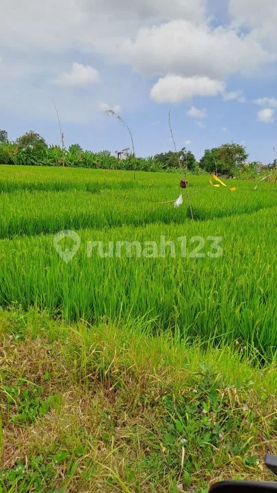 Jual Tanah Denpasar/Sempidi - Image 1 of 4
