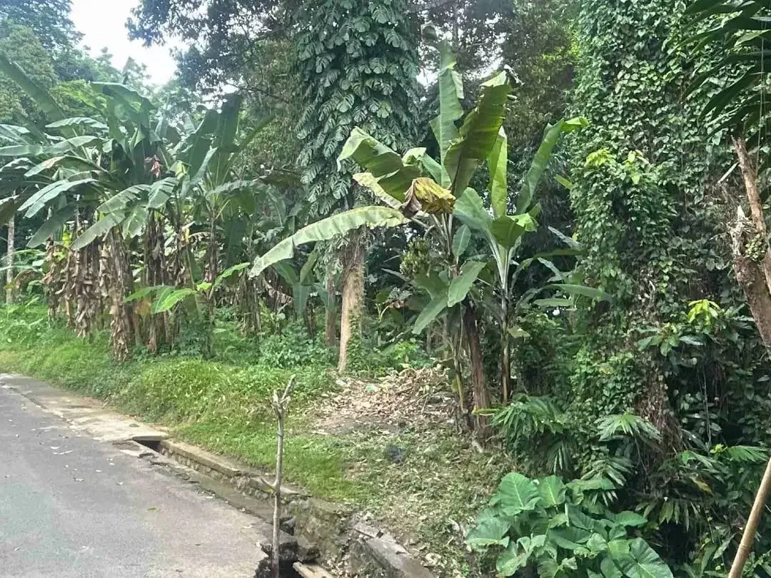 Tanah Murah di Sentral Ubud Dekat Restoran dan Fasilitas Umum - Image 9 of 10
