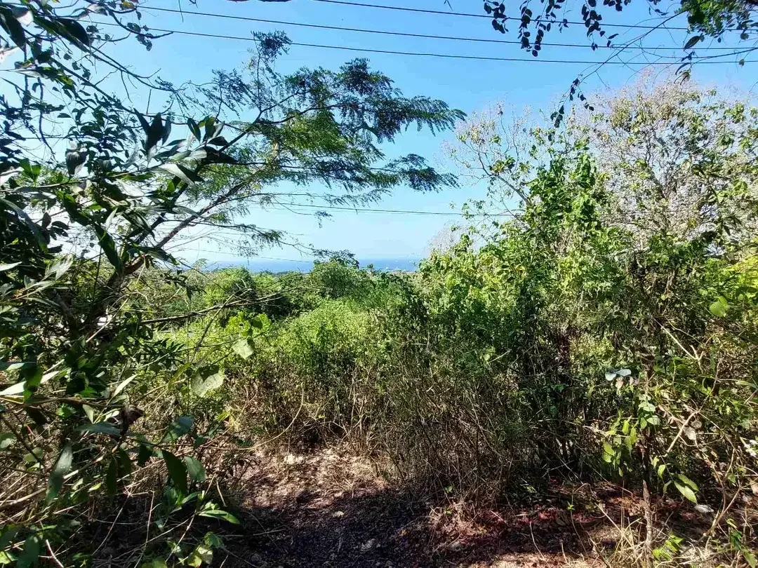 DIJUAL TANAH PREMIUM UNBLOCK VIEW, NUSA DUA - Image 9 of 10