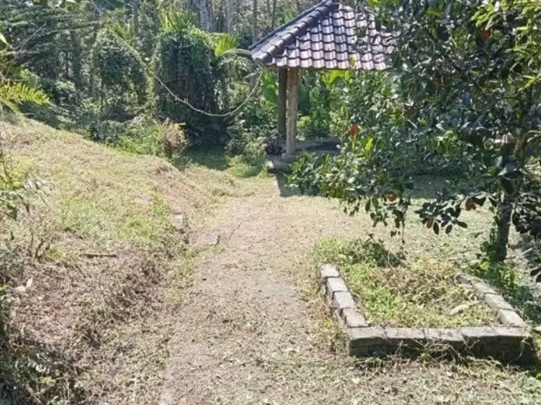 TANAH BONUS BANGUNAN DI KETIMA TABANAN - Image 2 of 9