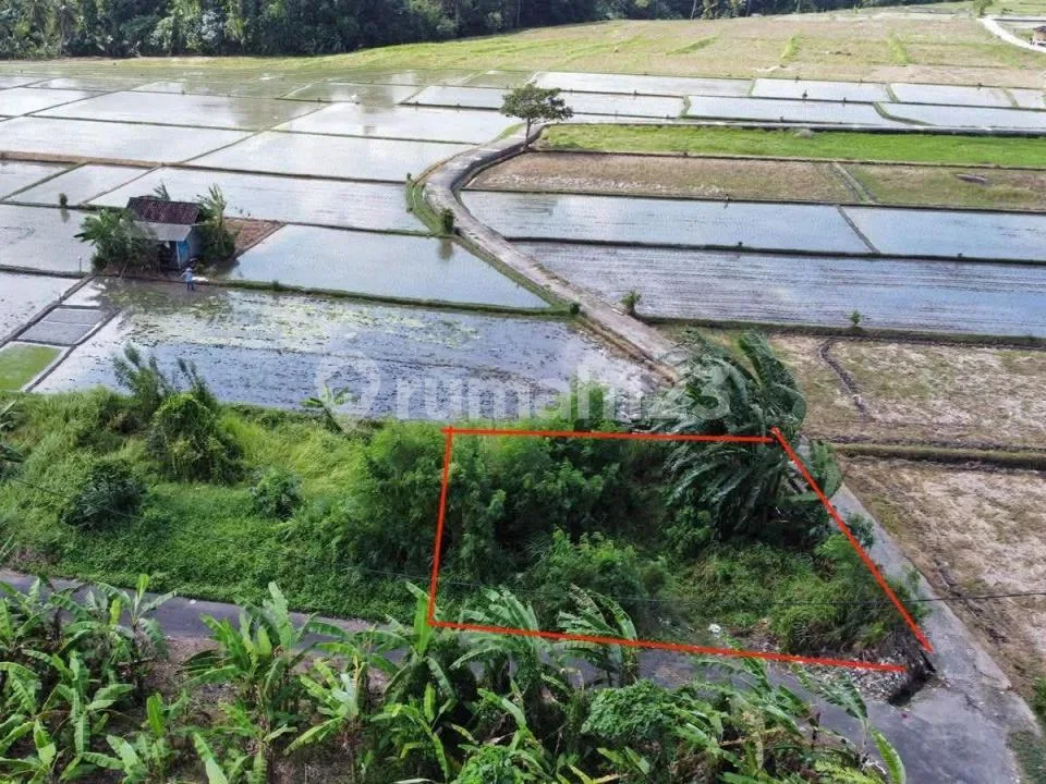 Tanah 215MÂ² View Sawah di Kedungu Tabanan Bali - Image 4 of 4