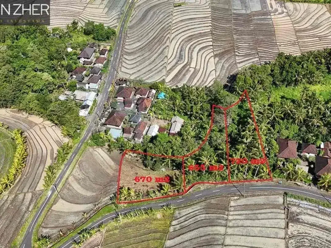 Tanah murah jarang ada view sawah cocok untuk homestay,villa karena dekat pantai di beraban tabanan - Image 5 of 10