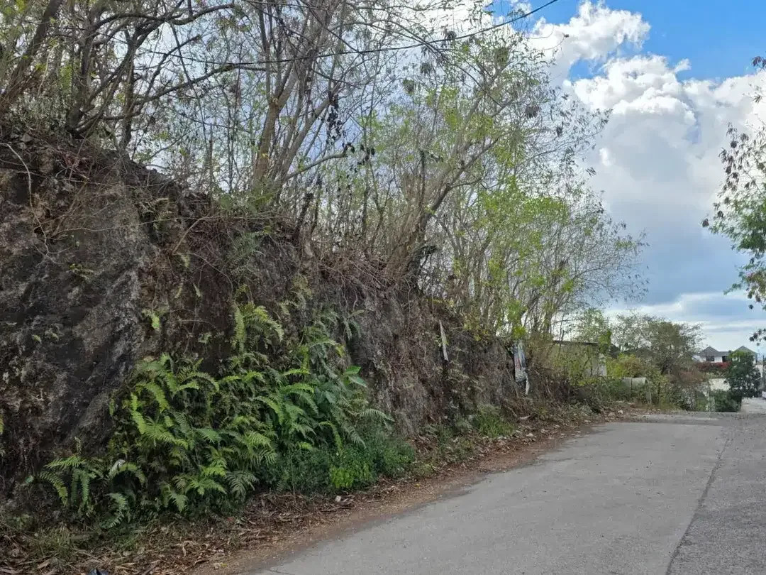 Dijual Tanah Lokasi Strategis di Pecatu - Ungasan - Image 3 of 6