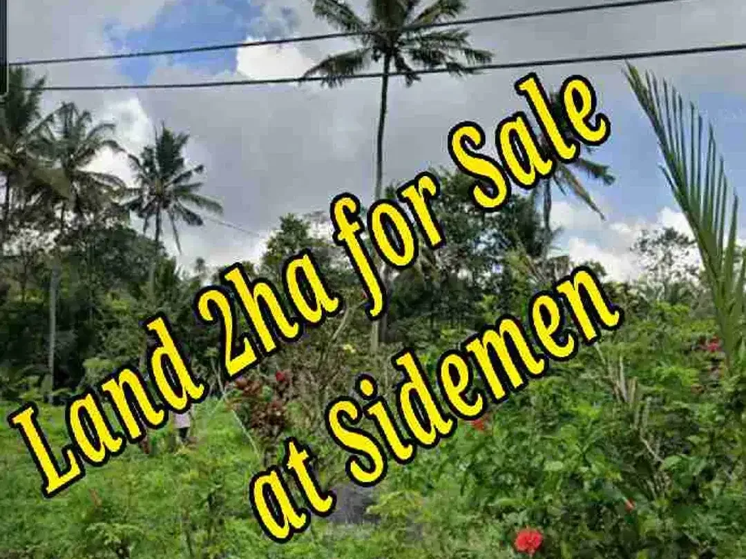 Land 2ha for Sale at Sidemen Traditional Village Bali - Image 1 of 10