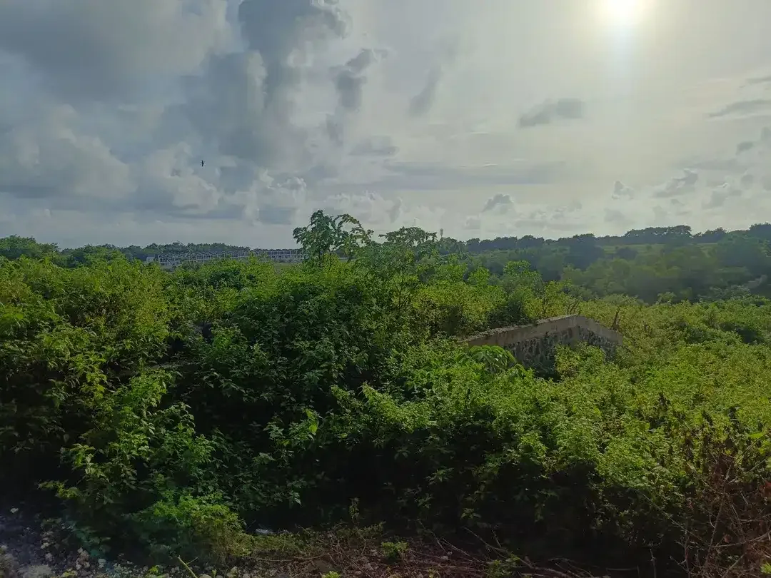 Dijual Tanah Ocean View di Jalan Bali Cliff, Ungasan Harga MURAH BANGET - Image 5 of 10