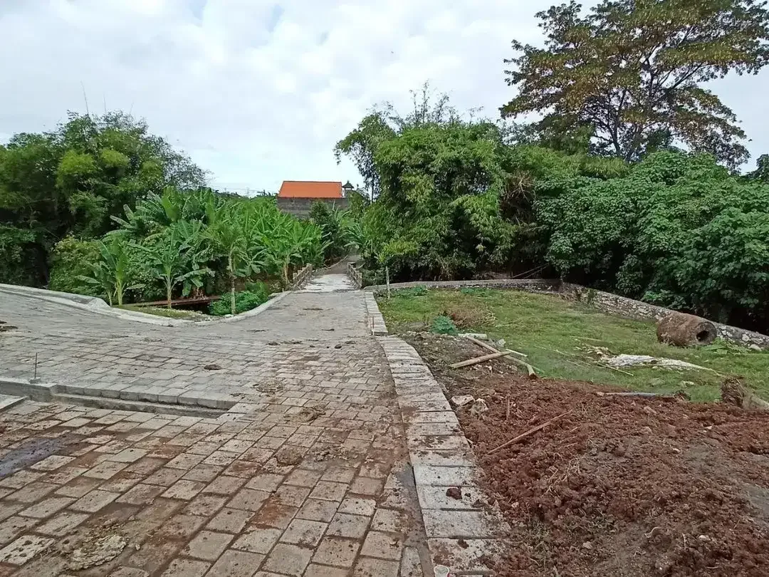 Freehold - Premium Land Available for Sale In Canggu - Image 4 of 7