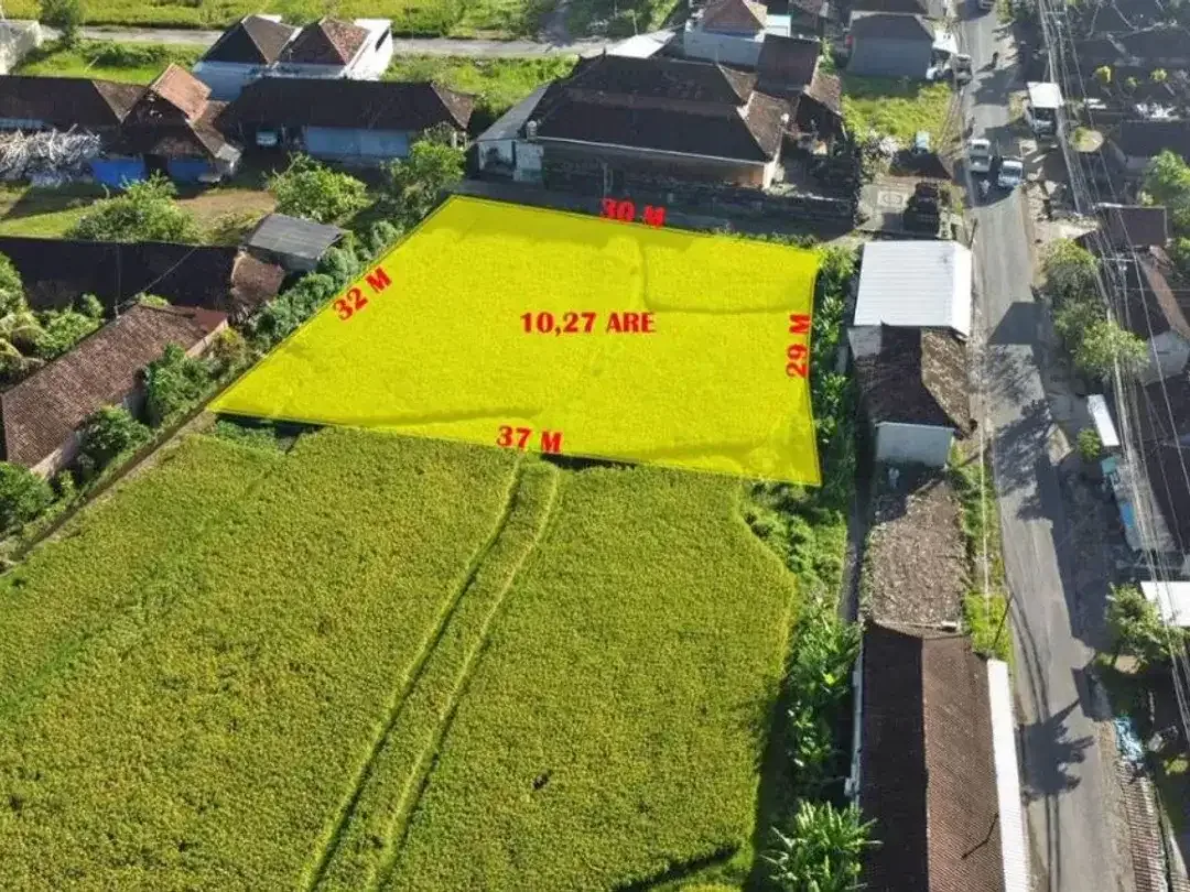 Dijual Tanah Pinggir Jalan Utama Kediri Tabanan - Super Strategis - Image 2 of 5