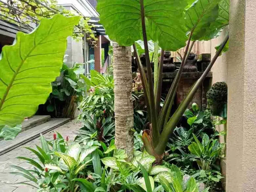 Comfy tropical Villa Abianbase Mengwi Bali - Image 10 of 10