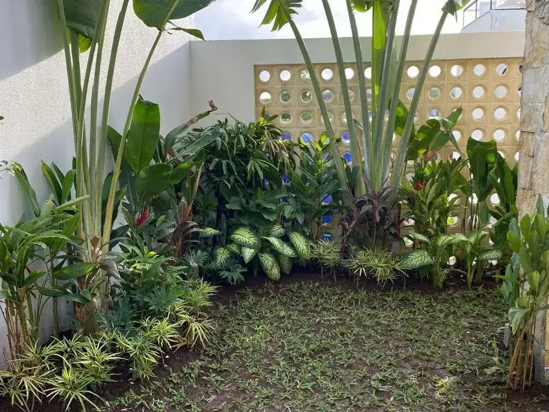 Villa Sunroad Dijual di Ungasan Area - Image 5 of 5