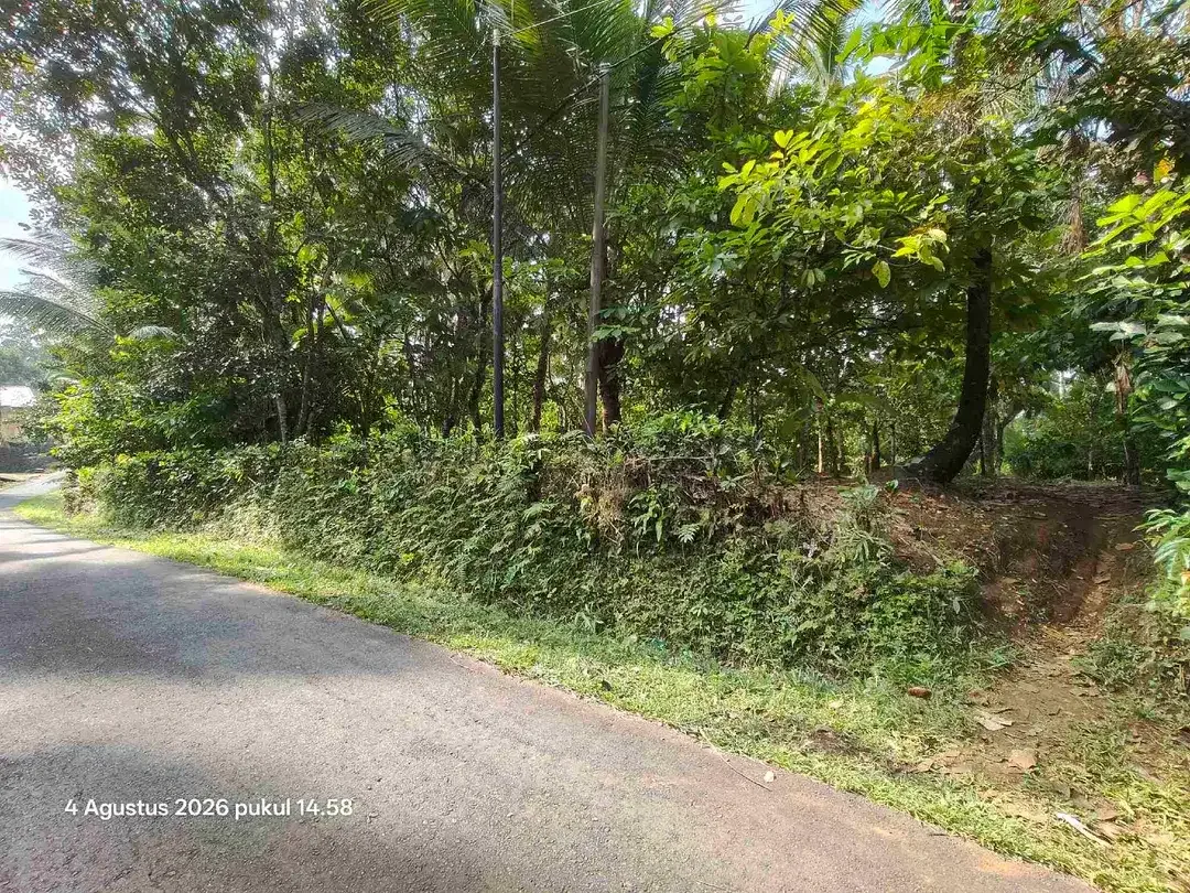 Tanah Zona Kuning dan Perkebunan di Selemadeg Tabanan Bali - Image 1 of 5