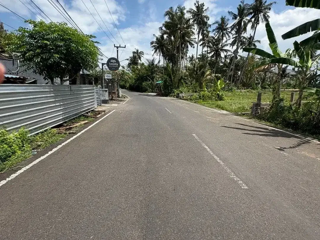 Tanah Strategis 6,31 Are Dijual di Kedungu - Cocok untuk Investasi - Image 3 of 5