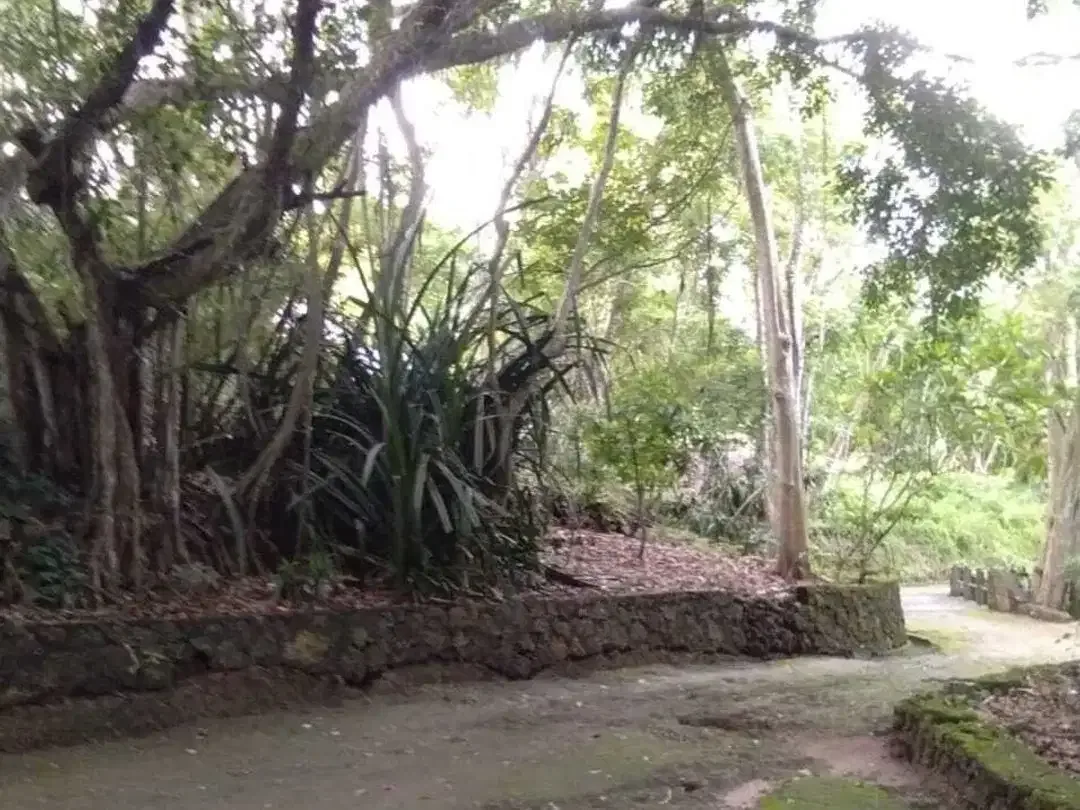 Cliff Land For Sale in Bali Cliff Tanah Tebing Bali Cliff - Image 2 of 10
