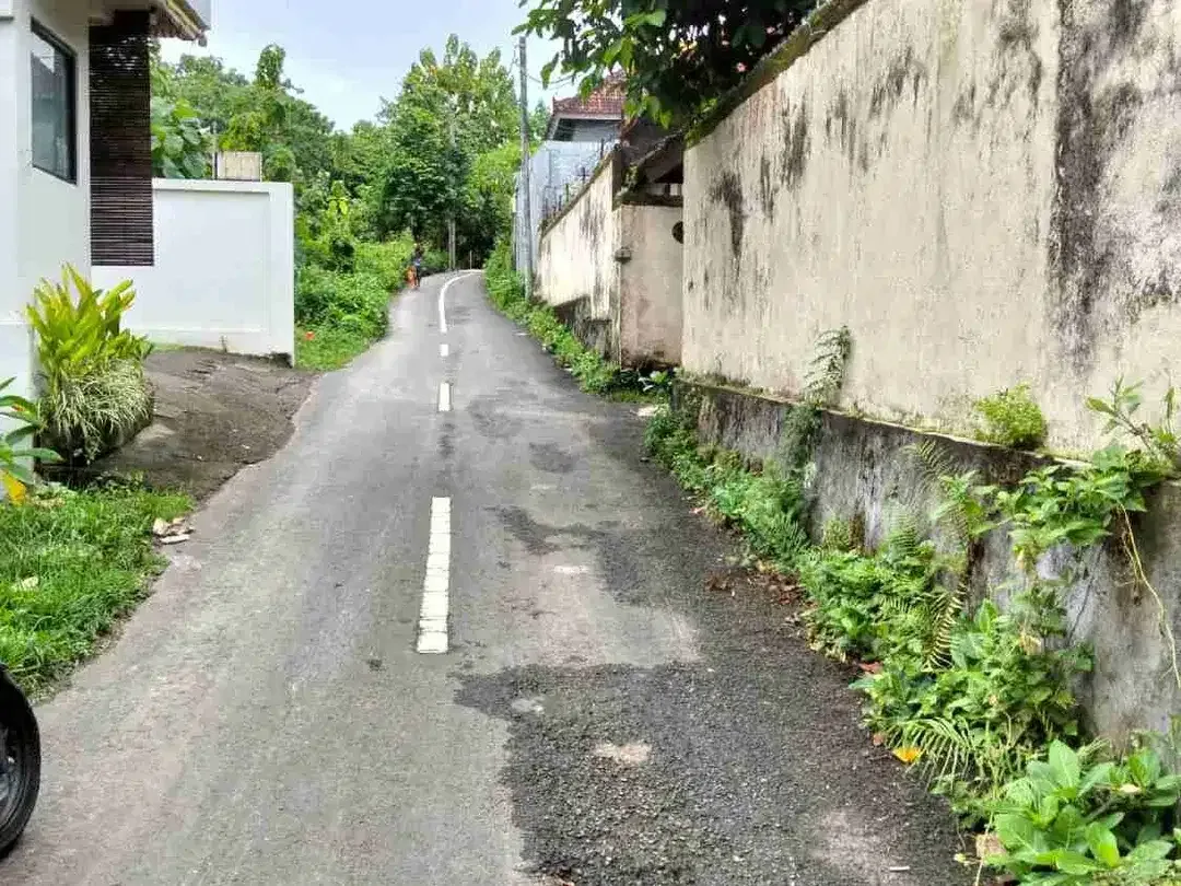 dijual tanah 10 are IDR 500 juta per are dekat Nirmala Ungasan Kuta Selatan Badung Bali - Image 3 of 6