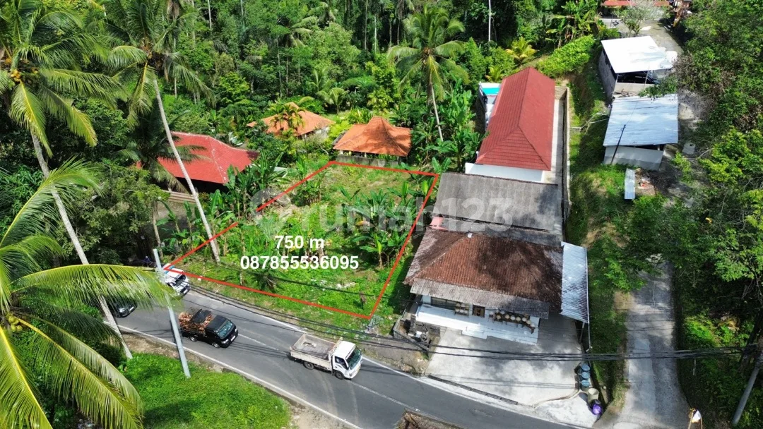 Dijual Lahan Premium Lokasi Hanya 1,5 KM Dari Capella Ubud SHM - Image 3 of 4