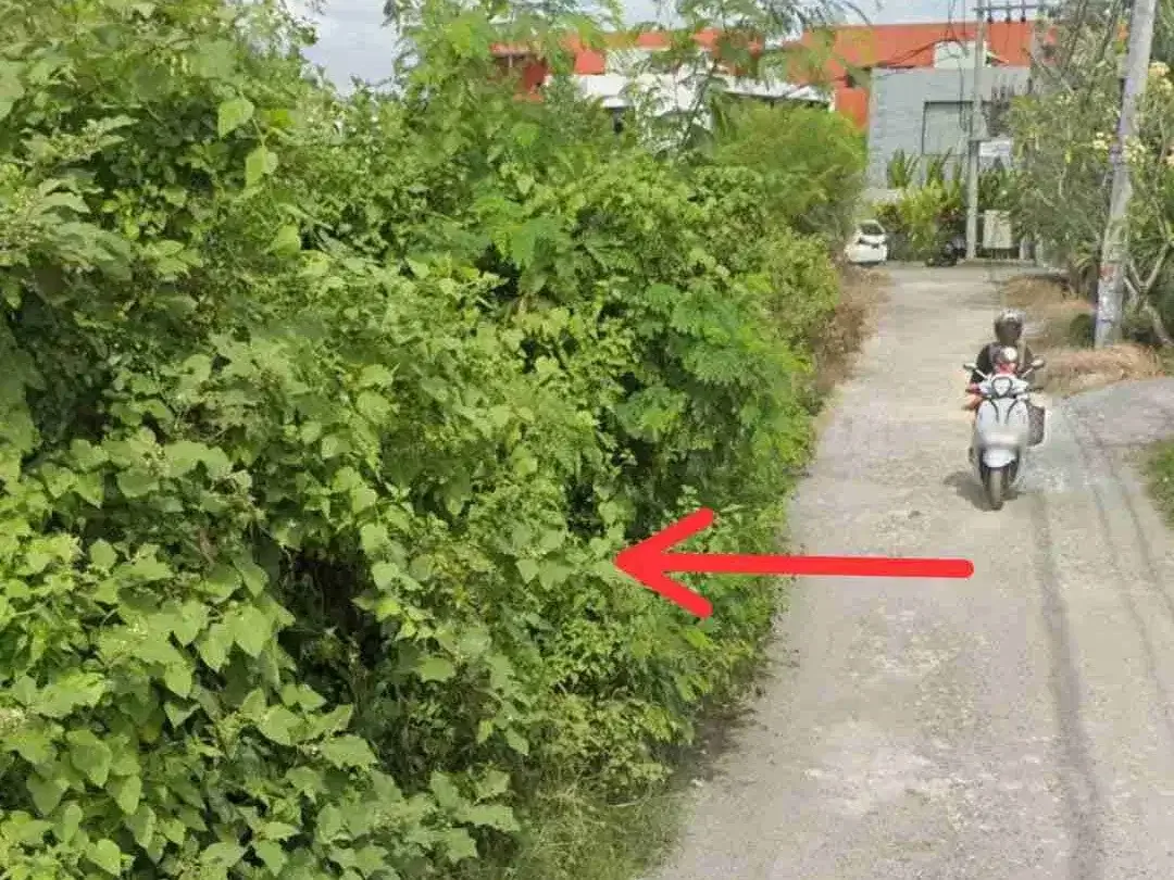TANAH PERERENAN CANGGU SHM 12,56 ARE ITR ZONA PINK LINGKUNGAN VILA KOMERSIL 1,750M/ARE - Image 2 of 9