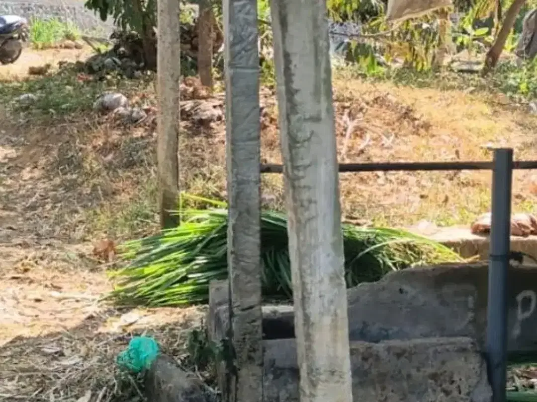 TANAH DI KUBUTAMBAHAN BULELENG - Image 3 of 6