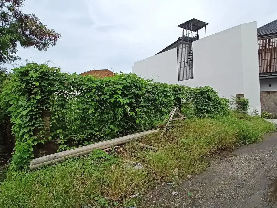 Freehold - Rare Land Plot with River & Rice Field View for Sale Canggu - Image 5 of 7