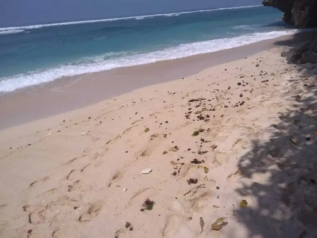 Tanah TEBING Pantai GREEN BOWL Ungasan - Image 5 of 7