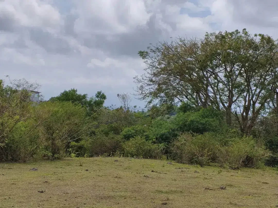 BUC Dijual Tanah di Kampial, Kutuh, Nusa Dua - Image 6 of 8