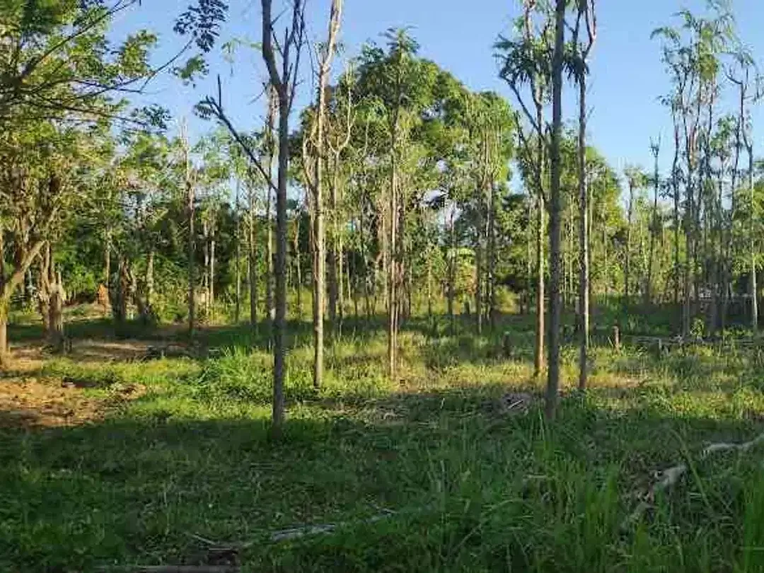 Dijual tanah kavling berlokasi di Jimbaran Bawah - Image 3 of 10