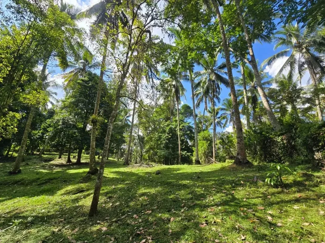 DIJUAL TANAH MURAH DI TABANAN - Image 8 of 10