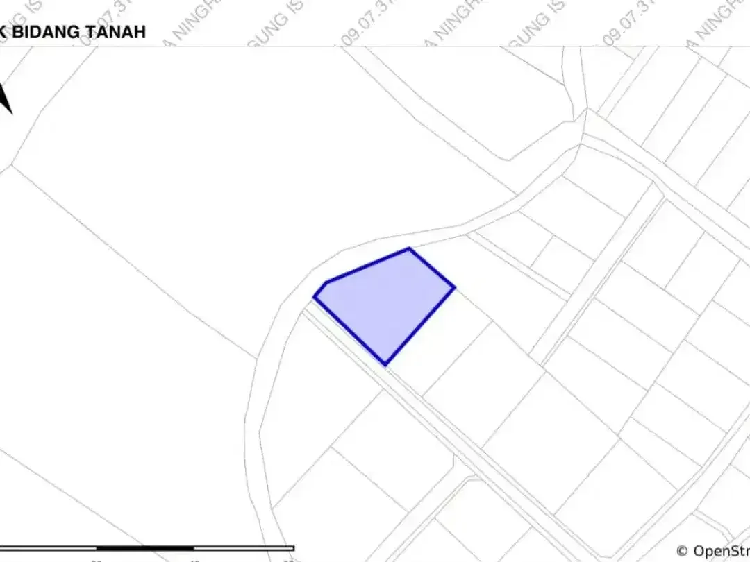 DIJUAL TANAH BONUS BANGUNAN – CANGGU BERAWA, BALI ( RBN / IWN HSB / LM ) - Image 4 of 10