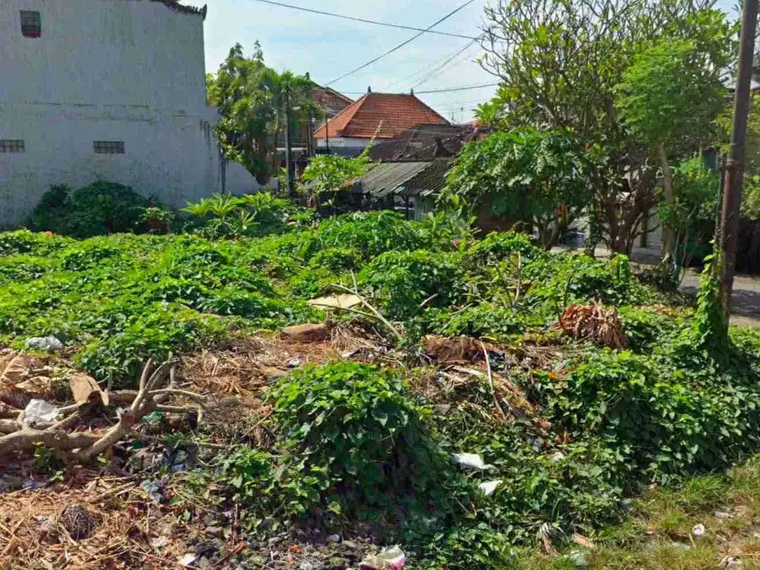 Tanah lokasi Elit dekat jalan Raya Puputan - Image 3 of 5