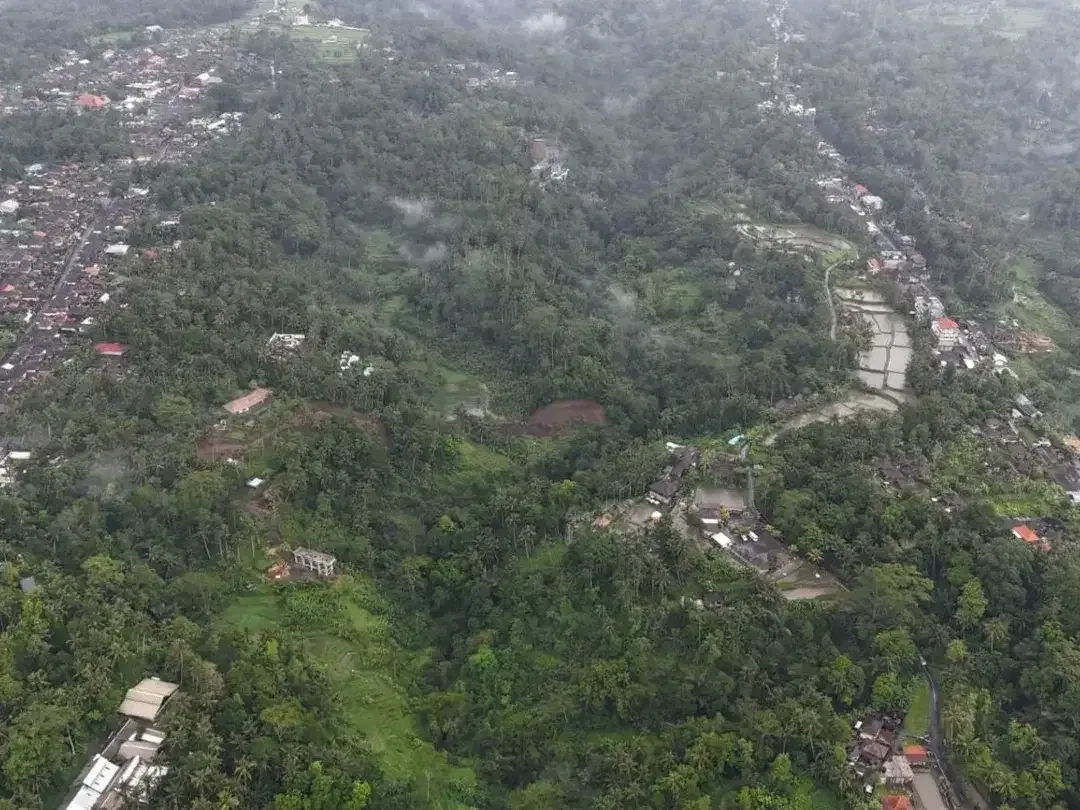 Tanah 1,3 Hektar View Sawah dan Jungle Dekat Rice Terrace Ubud - Image 7 of 10