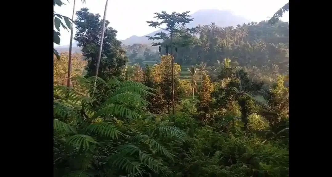 Land 12a for Sale close to Sidemen Traditional Village Bali - Image 2 of 4