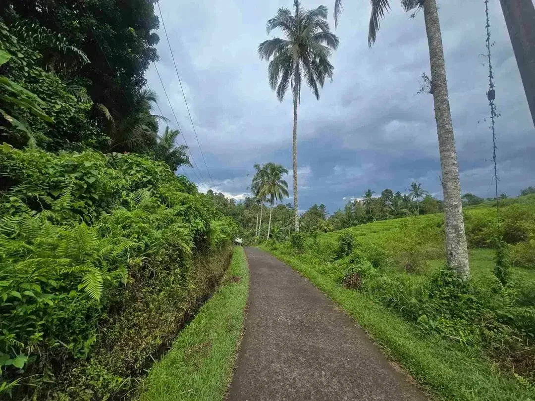 Dijual tanah murah los sungai view sawah terasering dan gunung di bali - Image 7 of 10