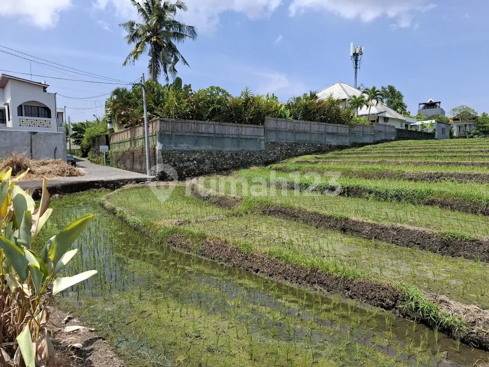 Villa Sewa Area Padonan Canggu Cocok Utk Berlibur - Image 2 of 4