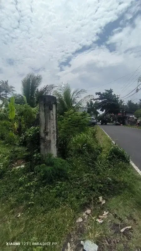 Tanah di Poros Jalan Karangasem Bali - Image 3 of 4
