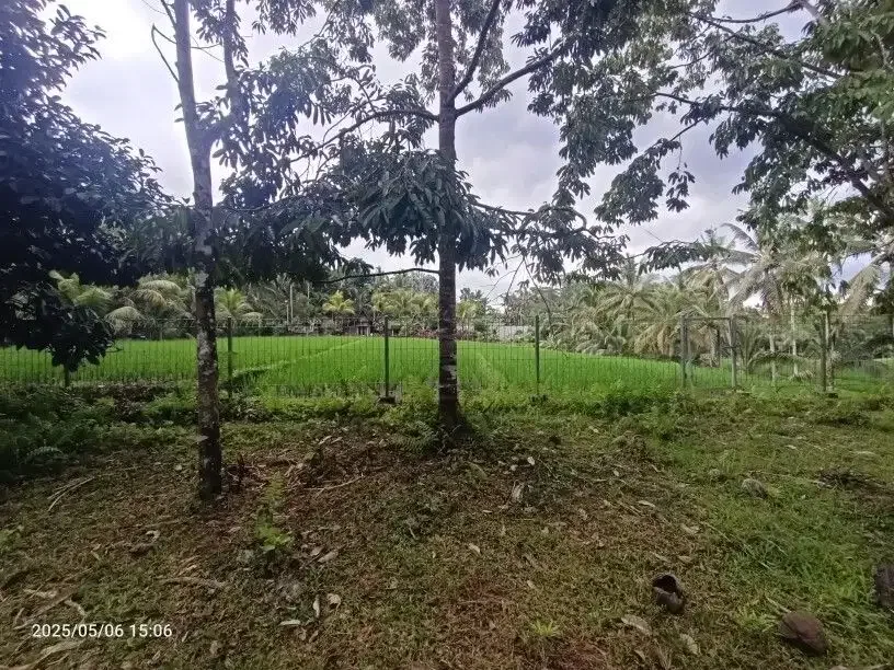 Tanah View Sawah dan Sungai dekat Villa Bali Lush dan Green Retreat - Image 3 of 10