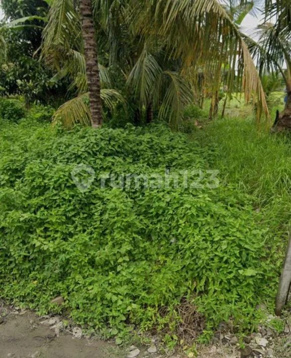 Tanah Dijual Lokasi Lodtunduh Ubud - Image 3 of 4