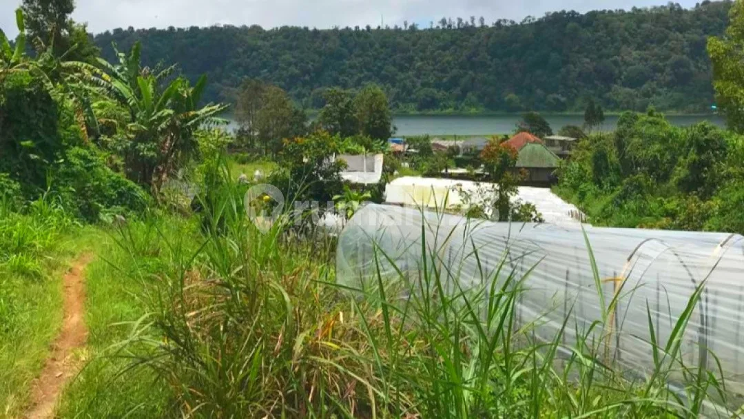 Tanah Cantik View Danau Buyan - Image 3 of 4
