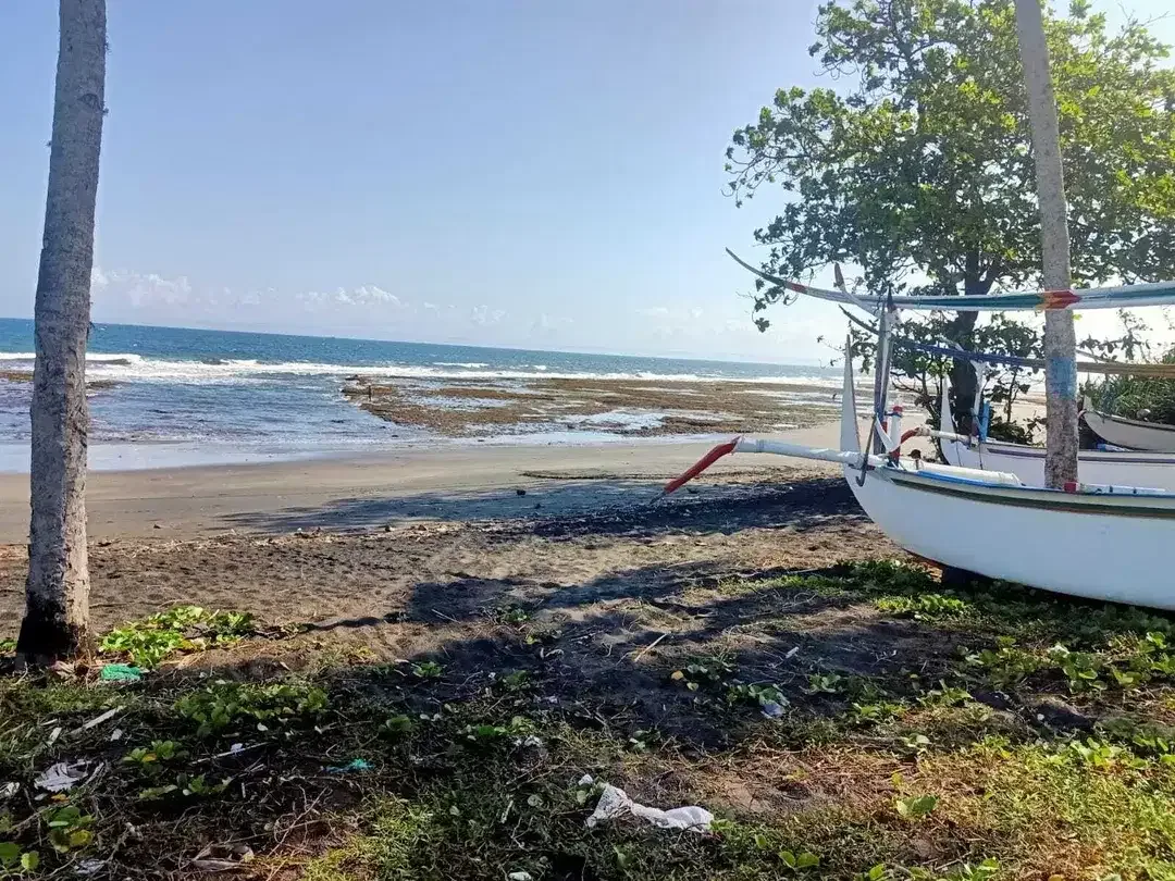 Beach front land di Perancak 30 menit ke pantai Medewi Bali - Image 4 of 8