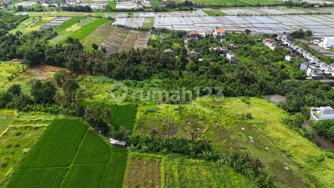Dijual Cepat Tanah Los Sungai View Sawah di Tanah Lot, Tabanan - Image 3 of 4