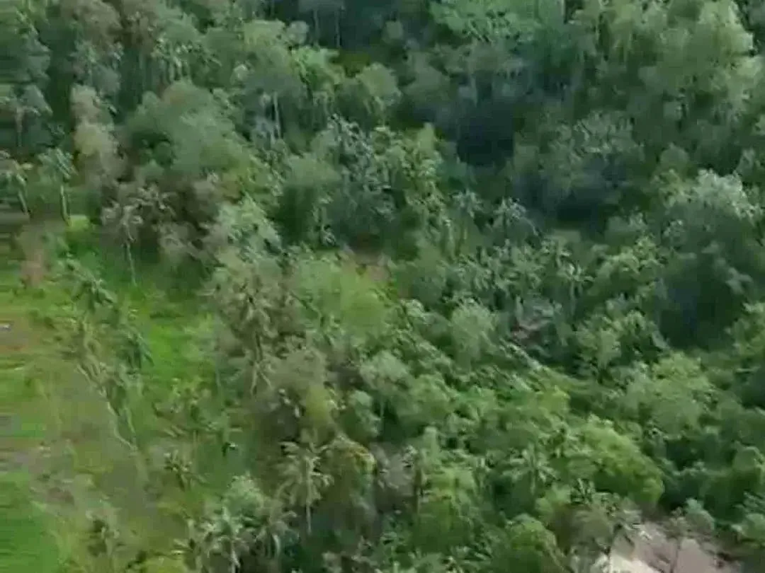 PRIME LOCATION IN WOS RIVER NEAR CAPELLA RESORT UBUD - Image 7 of 10