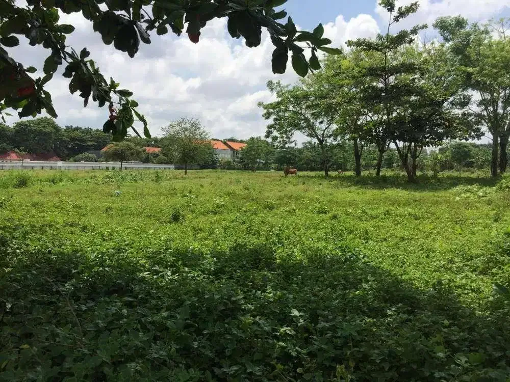 LAHAN LOKASI PINGGIR JALAN UTAMA PANTAI MATAHARI TERBIT SANUR - Image 7 of 10