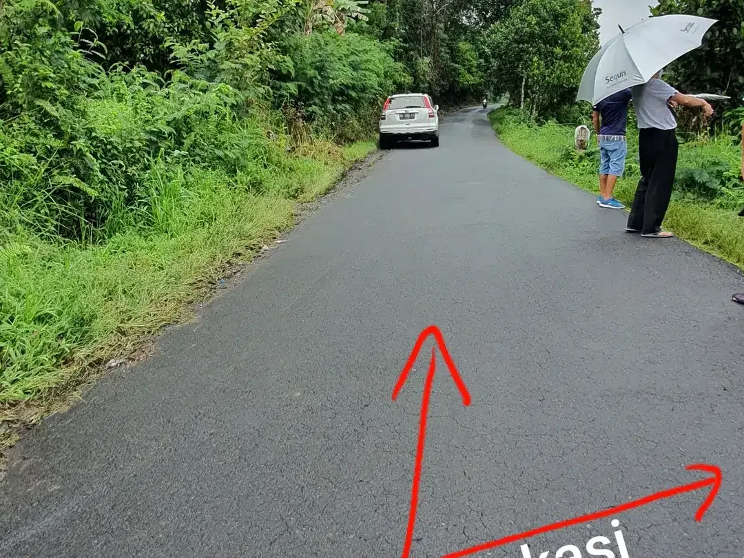 Jual TANAH 2.4 hektar di Payangan Ubud Gianyar Bali - Image 1 of 10